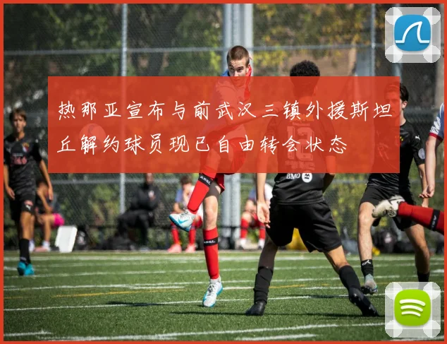 热那亚宣布与前武汉三镇外援斯坦丘解约球员现已自由转会状态