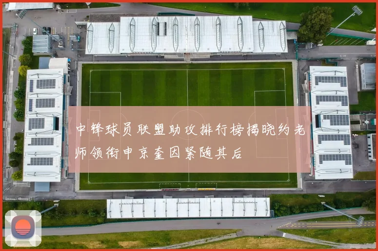中锋球员联盟助攻排行榜揭晓约老师领衔申京奎因紧随其后