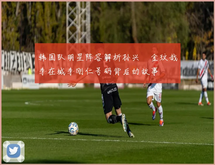 韩国队明星阵容解析孙兴慜金玟哉李在城李刚仁号码背后的故事