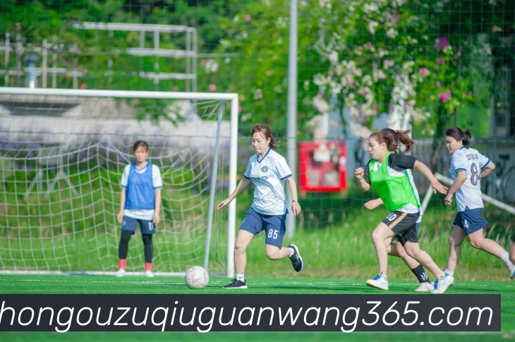 中欧体育发展历程